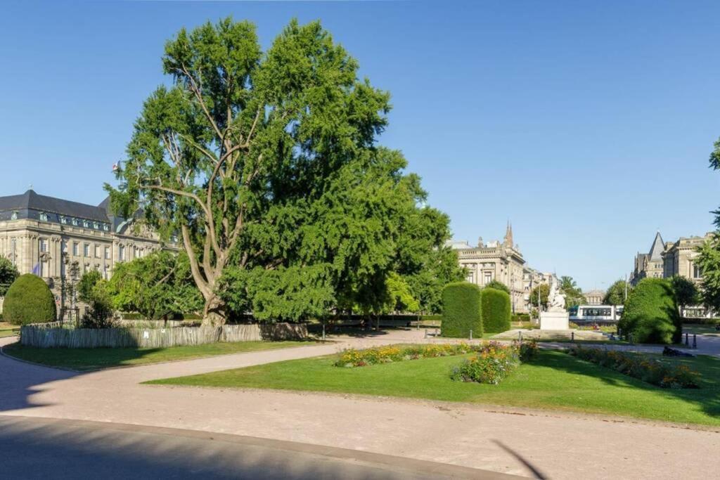 Magnifique Appartement Au Coeur De La Petite France Strasbourg Luaran gambar